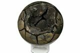Round Septarian Geode ( Lbs) - Madagascar #124503-1